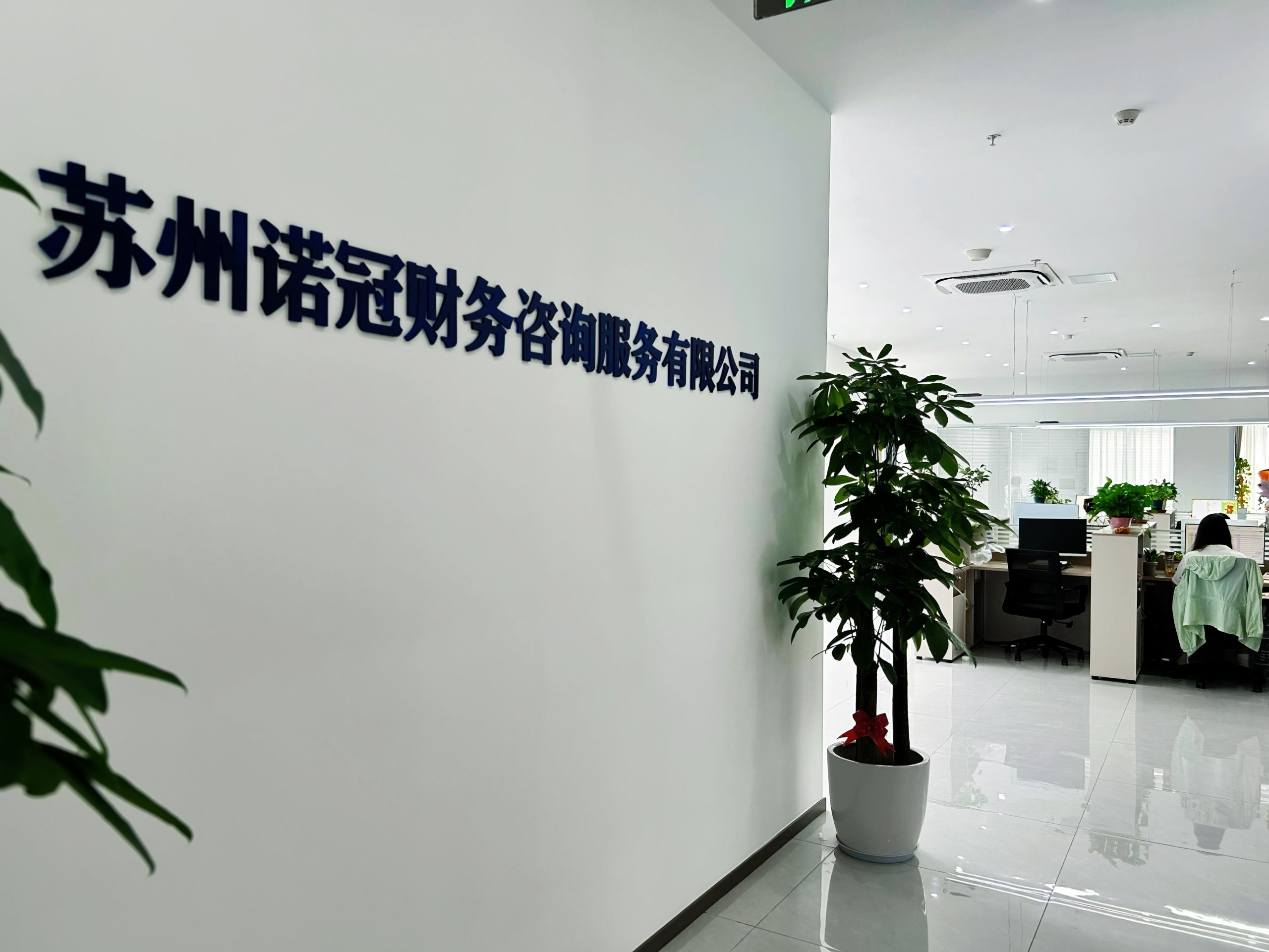 诺冠财务咨询服务有限公司
