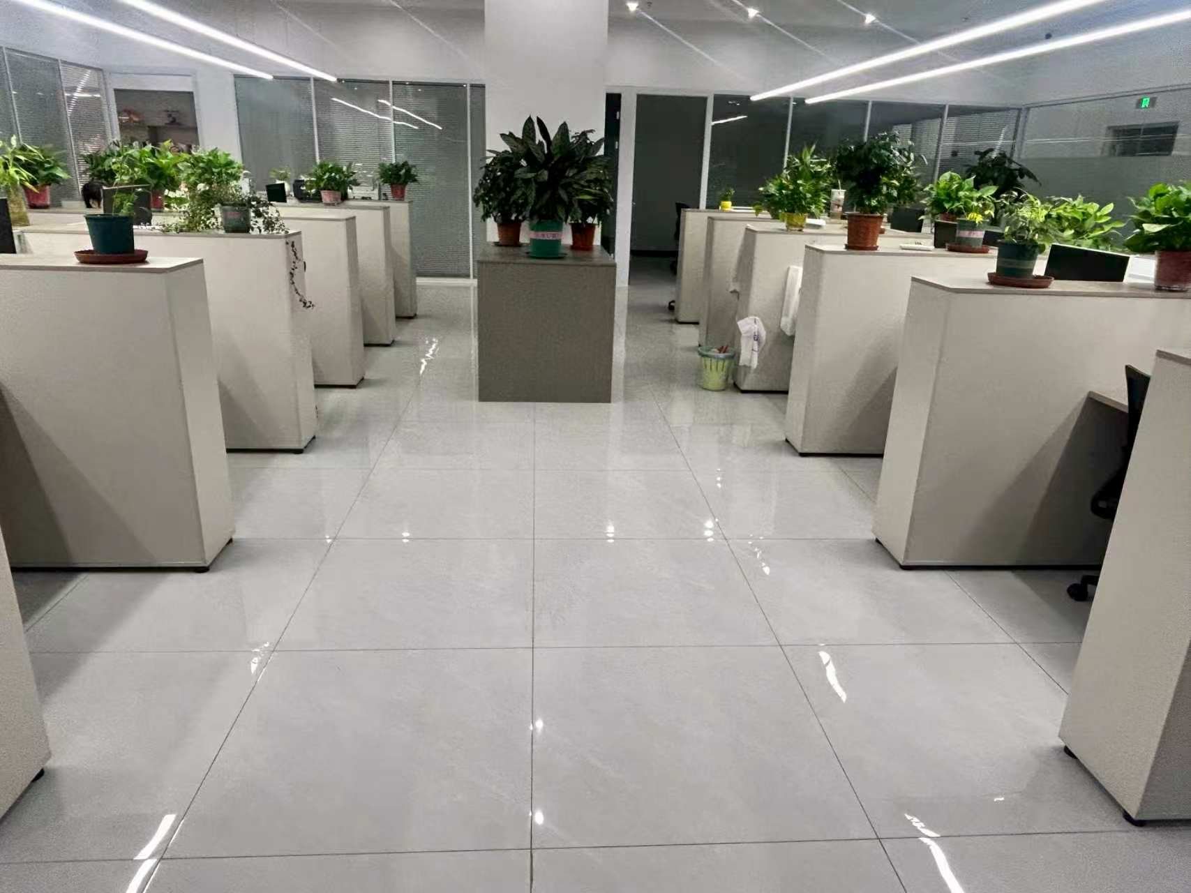 诺冠全周期税务筹划与合规落地服务